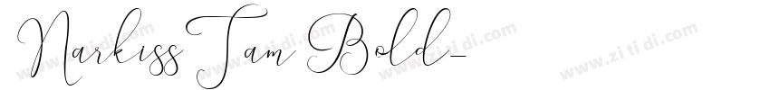 NarkissTam Bold字体转换